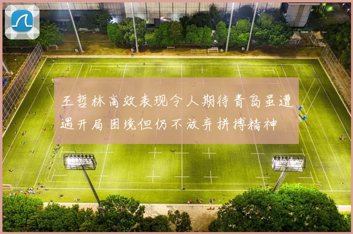 王哲林高效表现令人期待青岛虽遭遇开局困境但仍不放弃拼搏精神